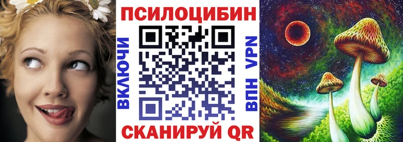 Купить  Карталы  Псилоцибиновые грибы MAGIC MUSHROOMS 